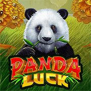 Lucky Bear